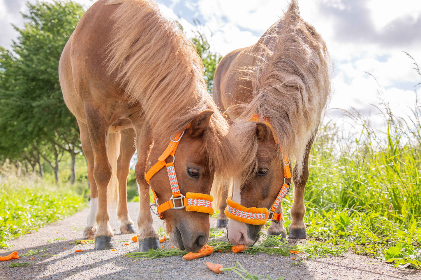 Happy Halsters - Oranje wortel halster (bont)