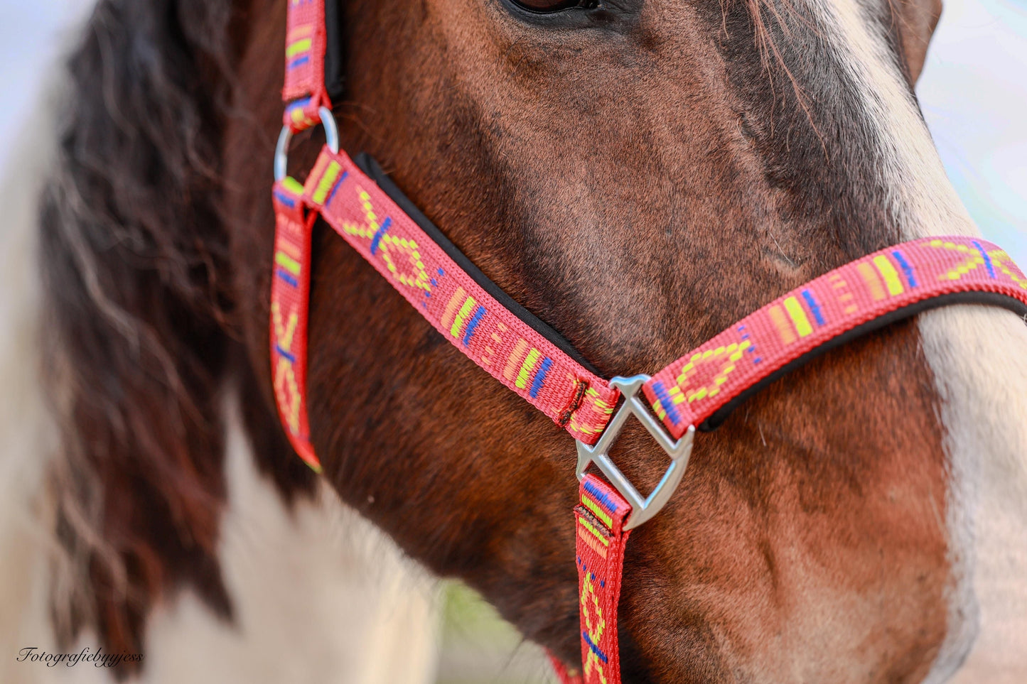 FMH - Geborduurd nylon halster met padding ‘Nomad Spirit’ rood