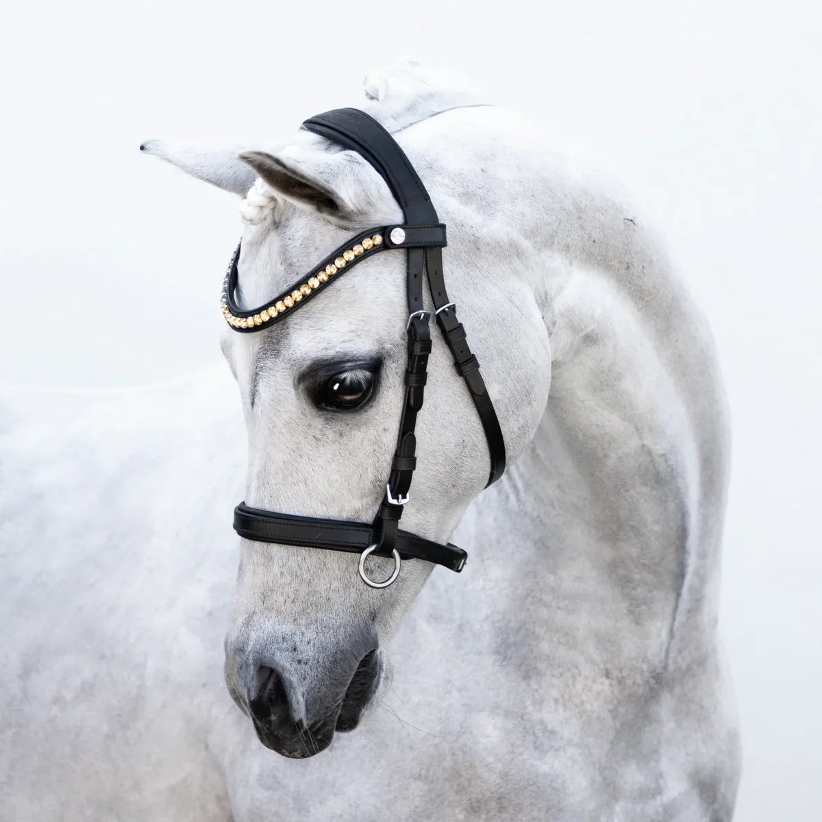 Lumi Pony - Iddy Biddy bitloos hoofdstel