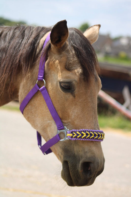 Handgemaakte paardenhalsters - Geknoopt halster ‘Followmyhooves’ paars/ geel