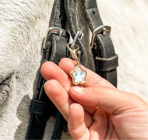 FMH - Lucky Charm hoofdstelbedel Ster Pastel