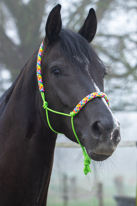 Touwhalster appeltjes groen met regenboog