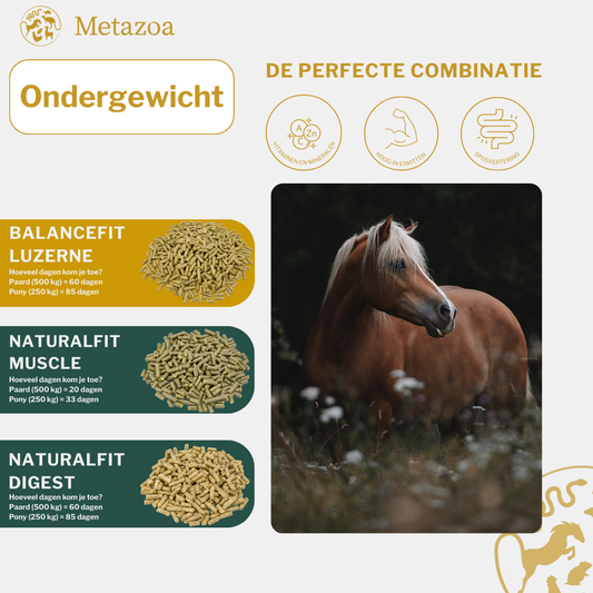 Ondergewicht