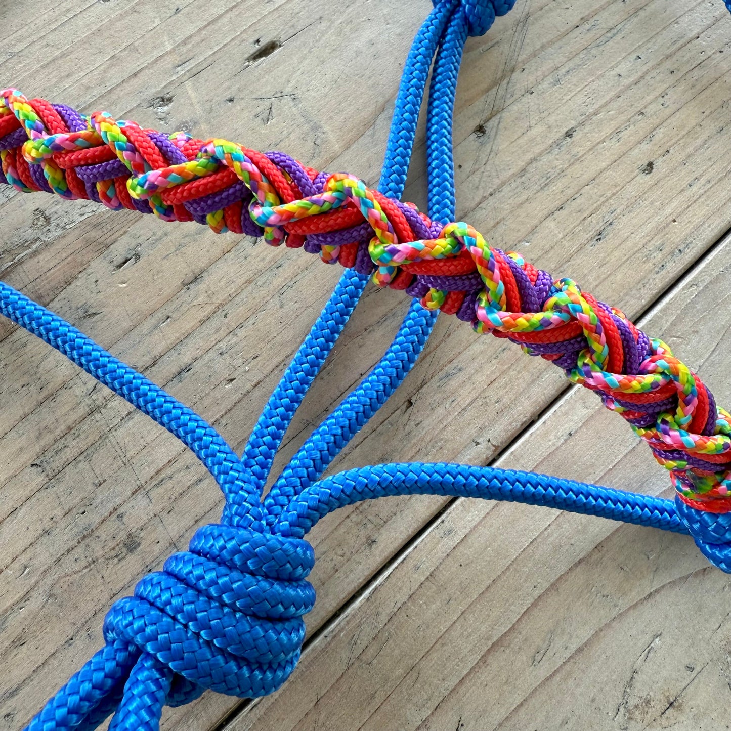 Het Paardenatelier - Touwhalster Nikita ‘Colorlight’ blauw/regenboog