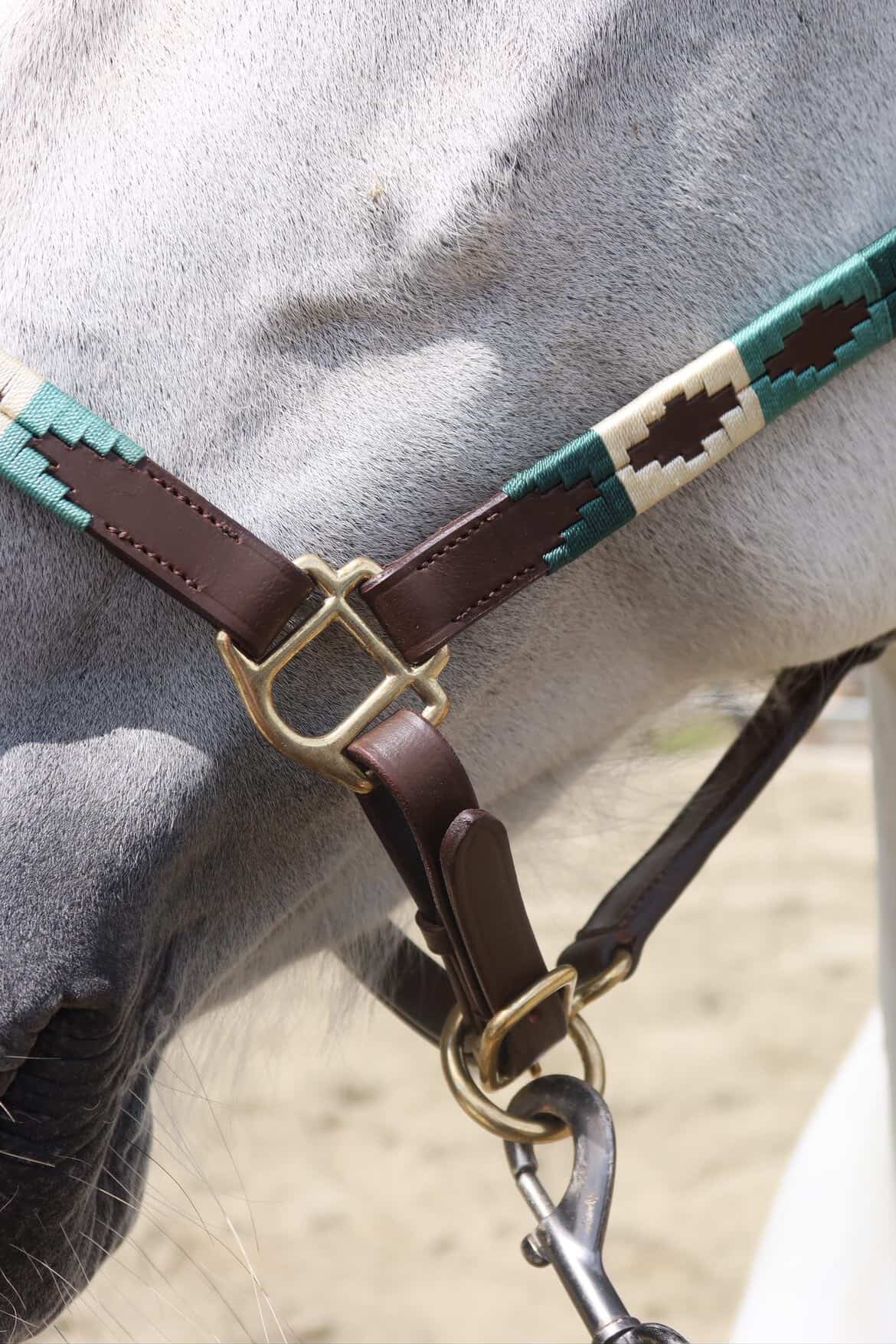 FMH - Havana lederen polo halster ‘Polo Vaquero Seafoam’ emerald/beige