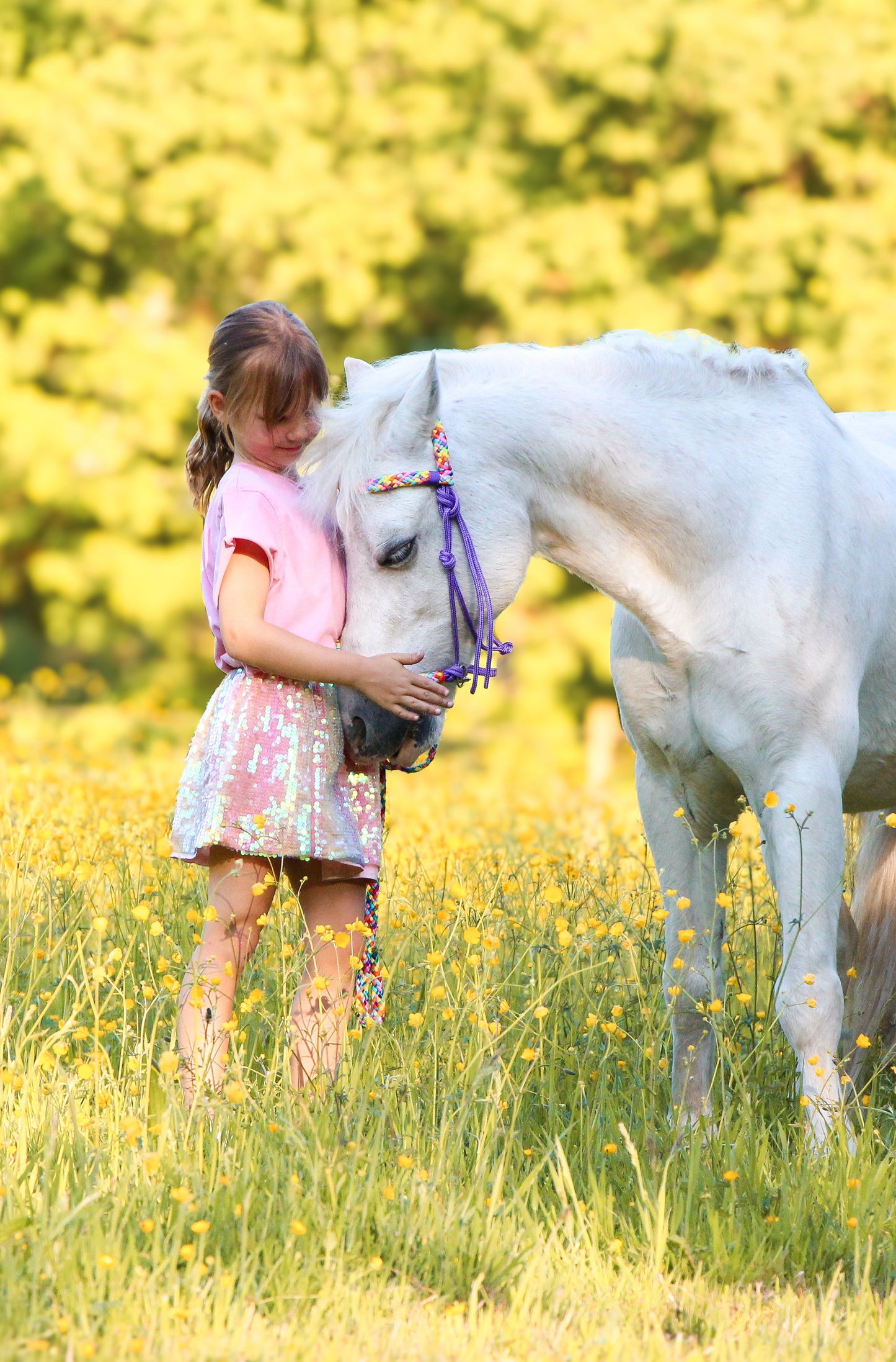 Het Paardenatelier - Touwhalster set rijhalster + teugels ‘Rainbow’ paars