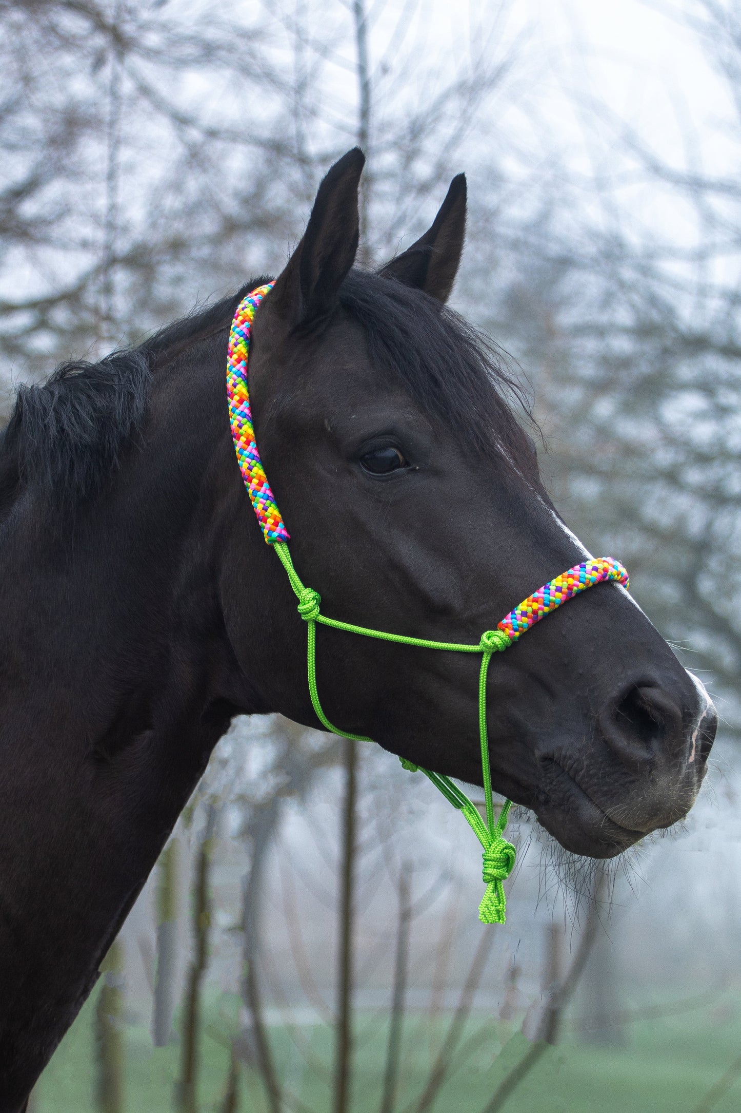 Touwhalster appeltjes groen met regenboog
