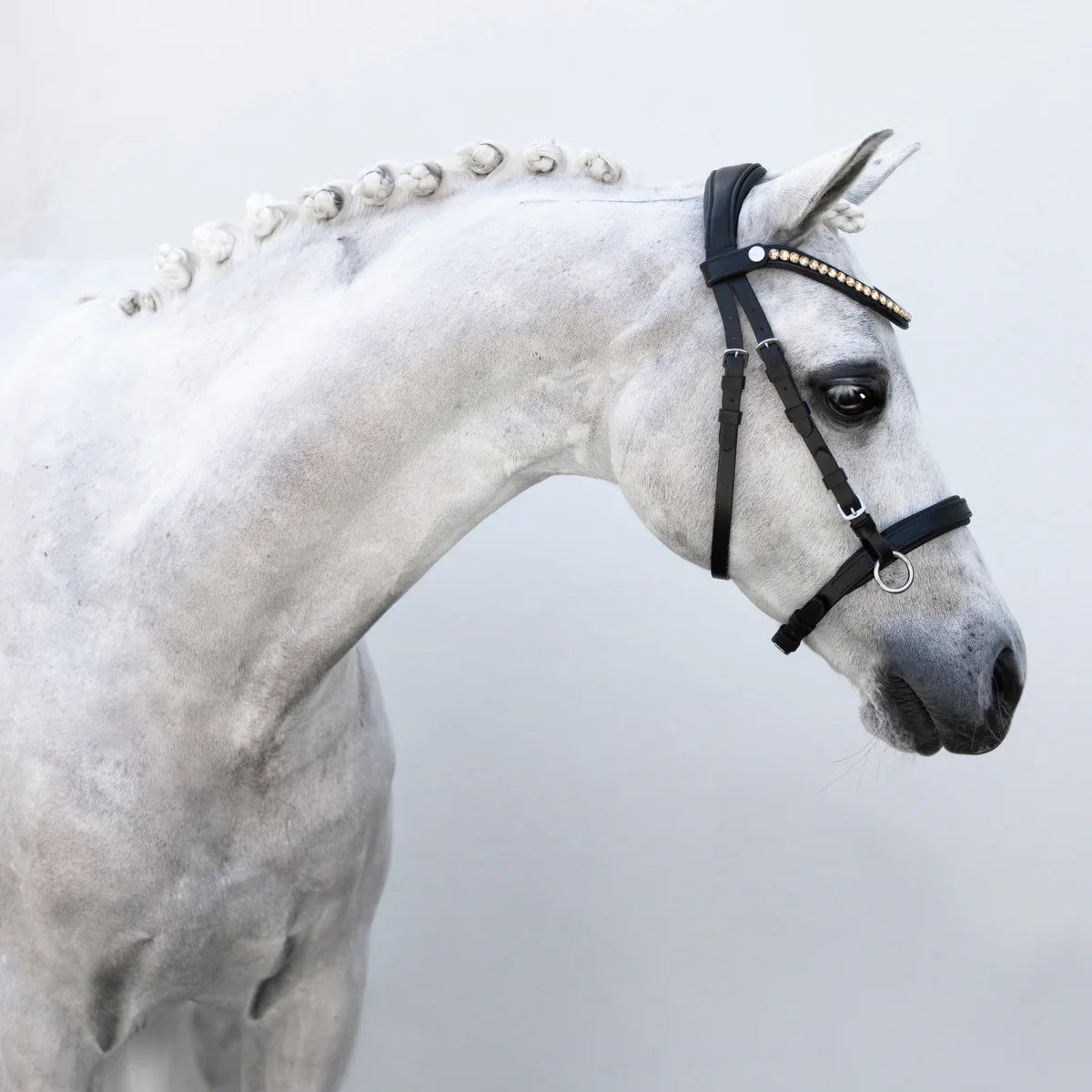 Lumi Pony - Iddy Biddy bitloos hoofdstel