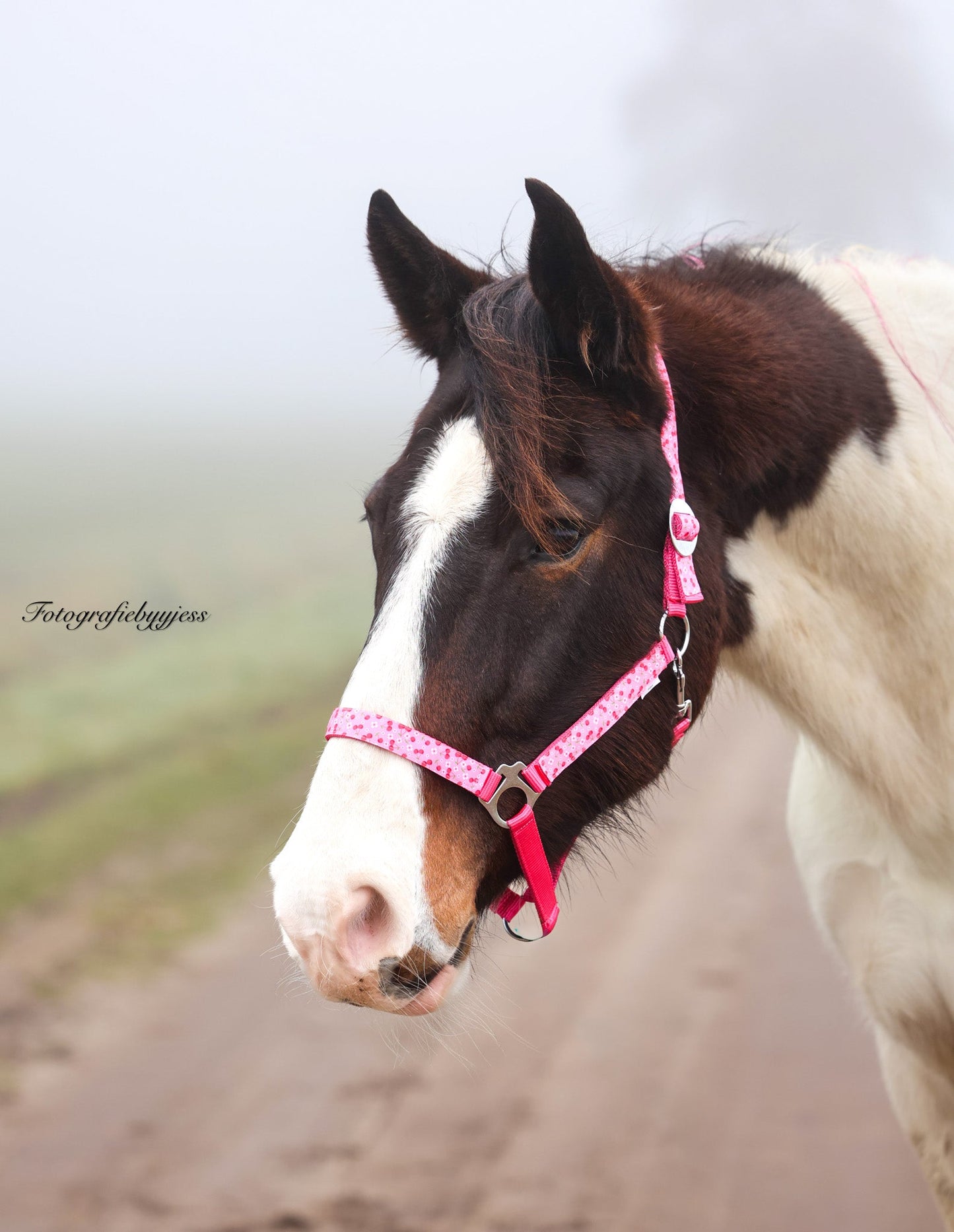 Happy Halsters - Fuchsia kersjes halster