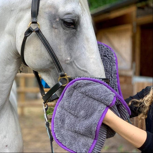 Henry Wag - Equine Microvezel Noodle Handschoen Handdoek