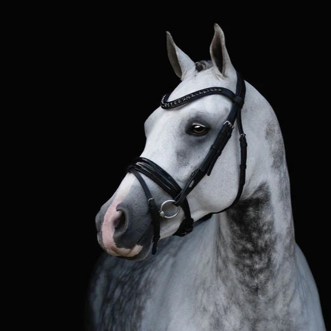 Lumiere/ Lumi Pony - Luxe Hanoverian hoofdstel 'Arcadia'