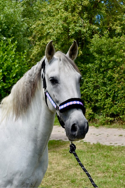 Happy Halsters x FMH - Love is Love Exclusive halster (bont) div. kleuren