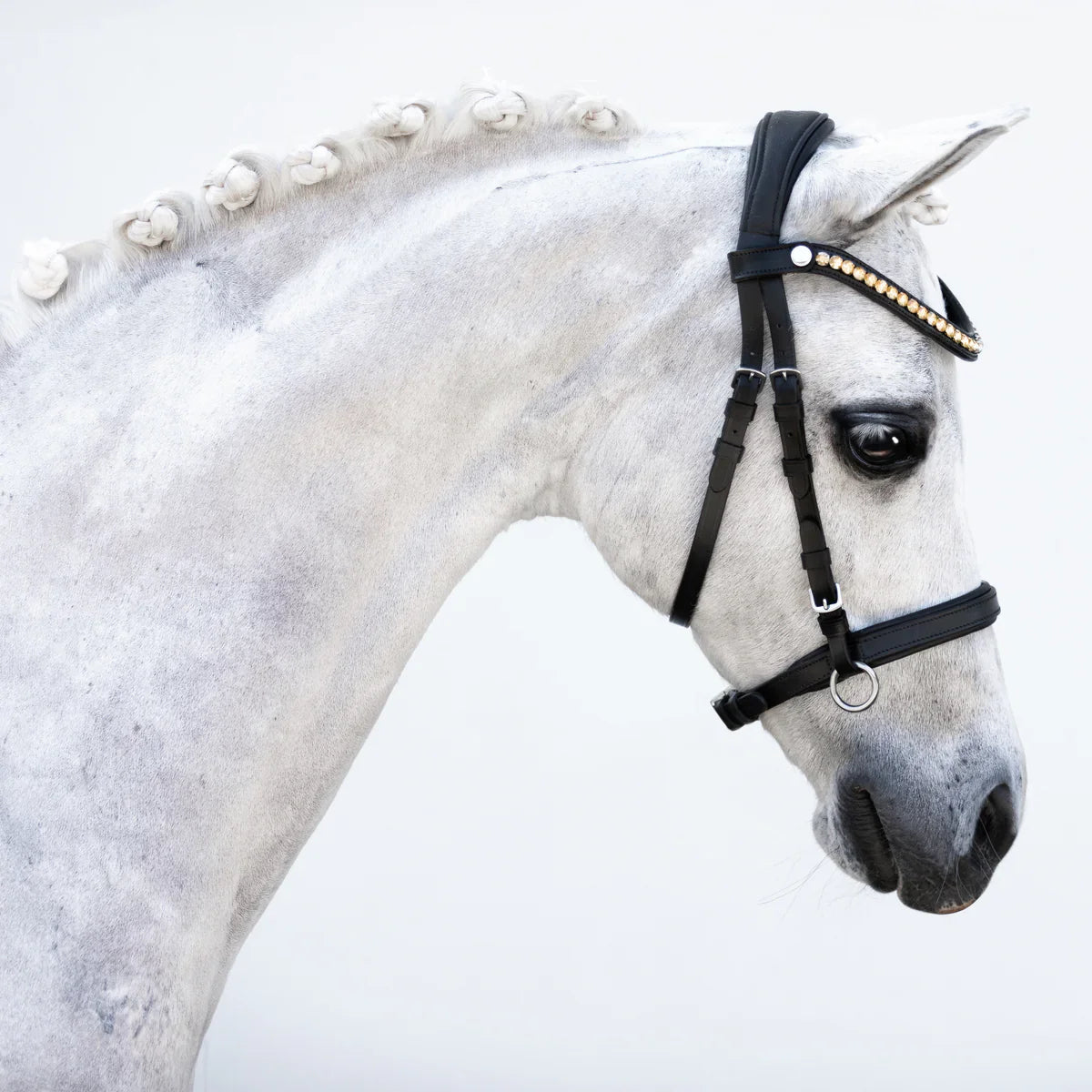 Lumi Pony - Iddy Biddy bitloos hoofdstel