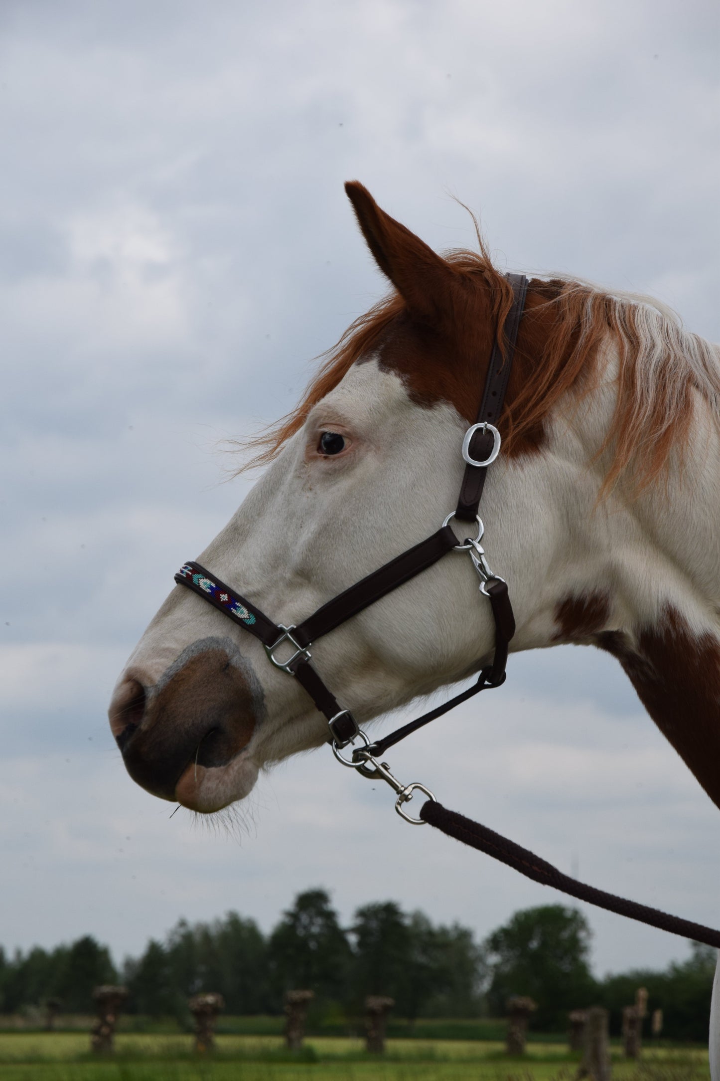 FMH - Cognac lederen halster met kraaltjes ‘Beaded Bronco Bluey’ blauw/turquoise/wit