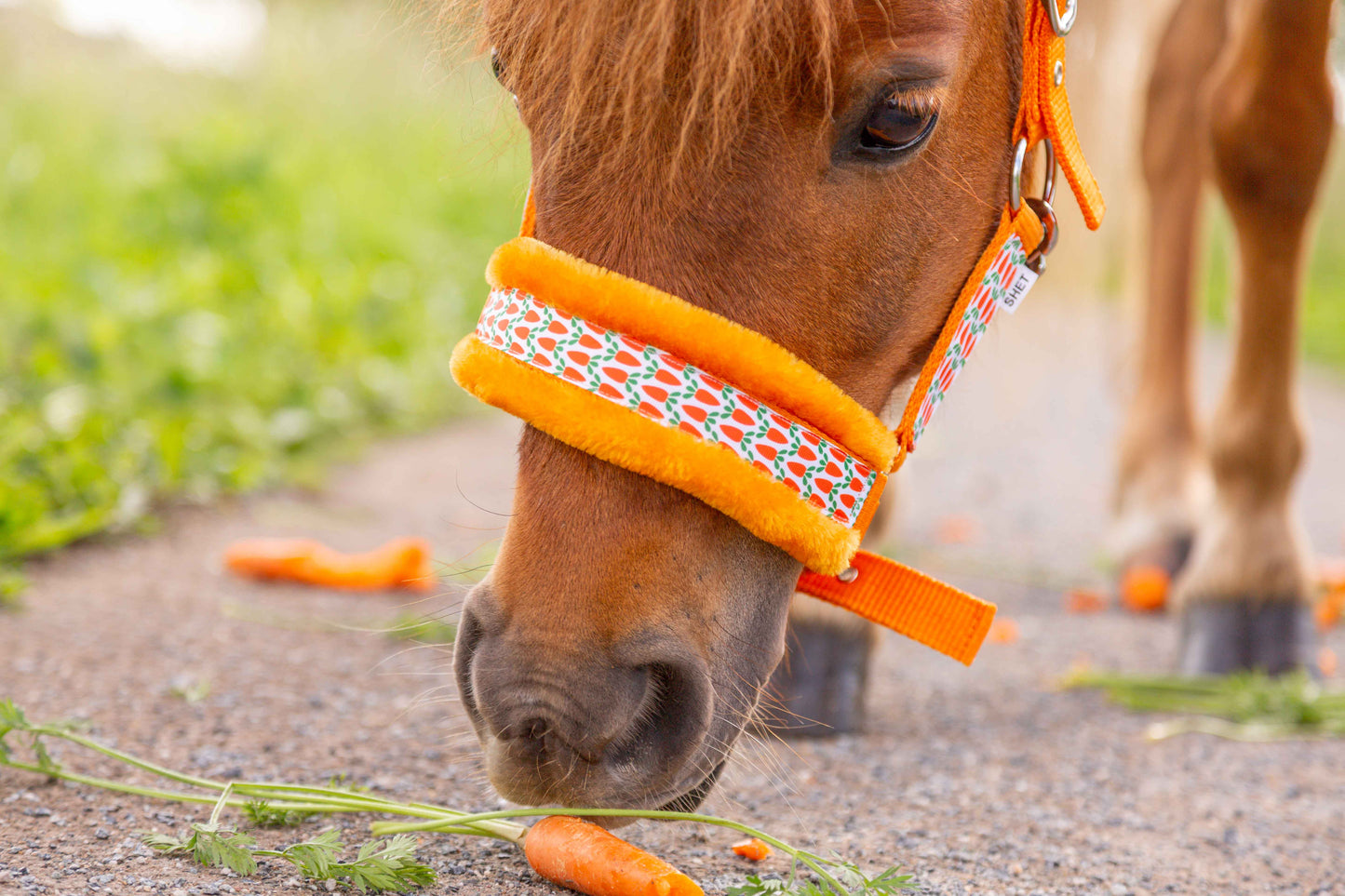 Happy Halsters - Oranje wortel halster (bont)
