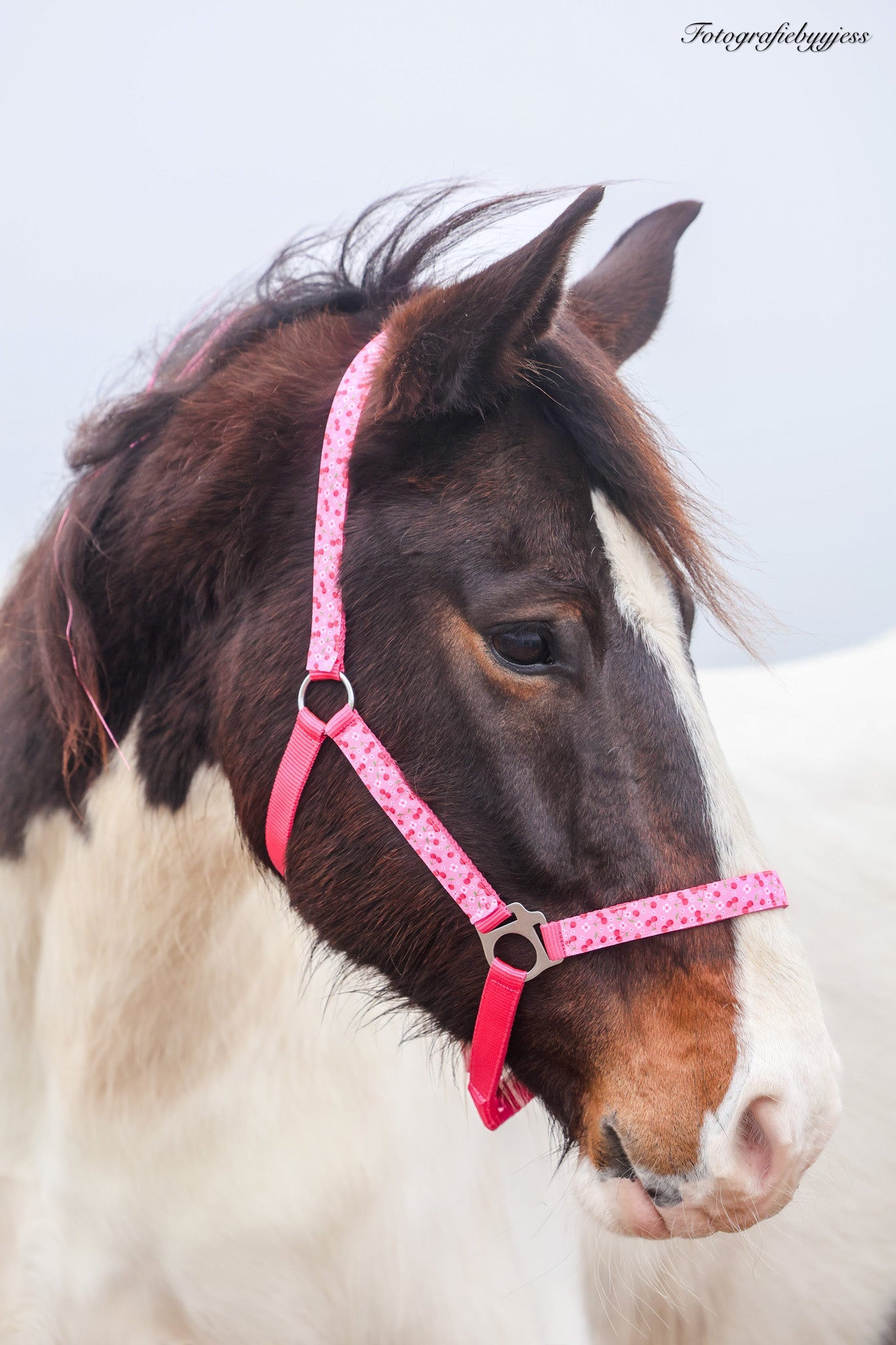 Happy Halsters - Fuchsia kersjes halster