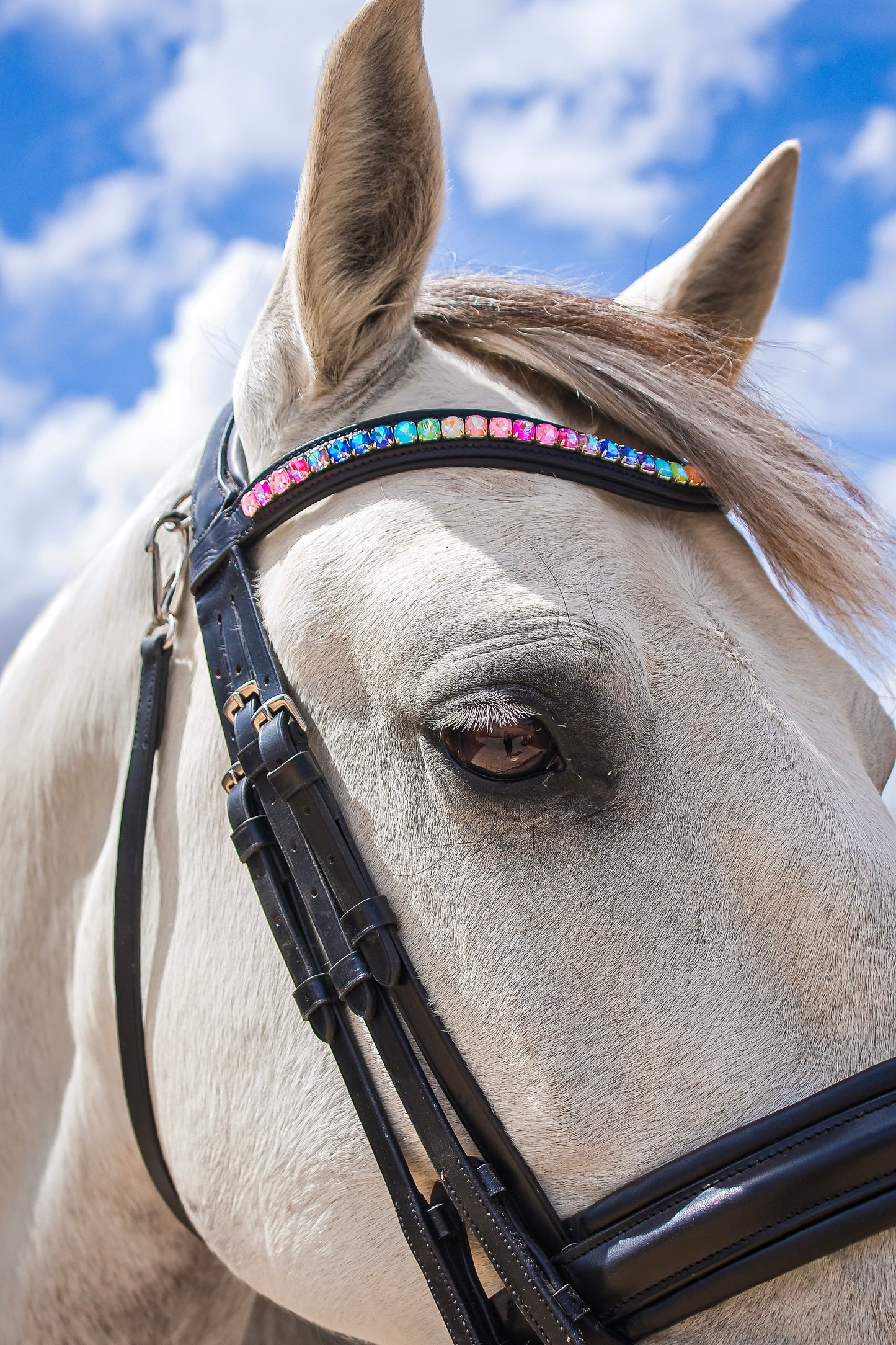 FMH - Frontriem ‘Rainbow Road’ met steentjes in regenboog kleuren