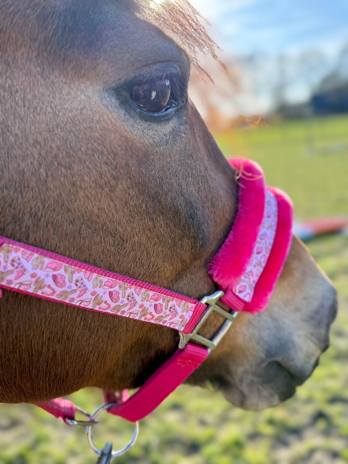 Happy Halsters x FMH - Pink Cowgirl Exclusive halster (bont) div. kleuren