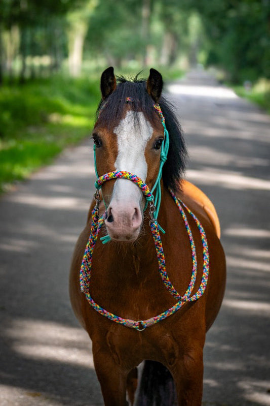 Het Paardenatelier - Neckrope ‘Rainbow’