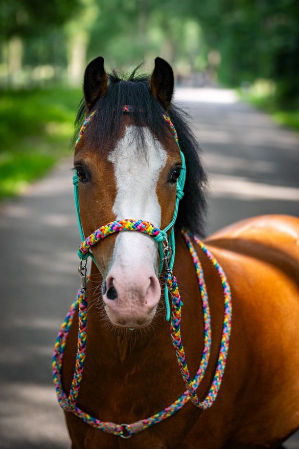 Het Paardenatelier - Touwhalster set rijhalster + teugels ‘Rainbow’ mint