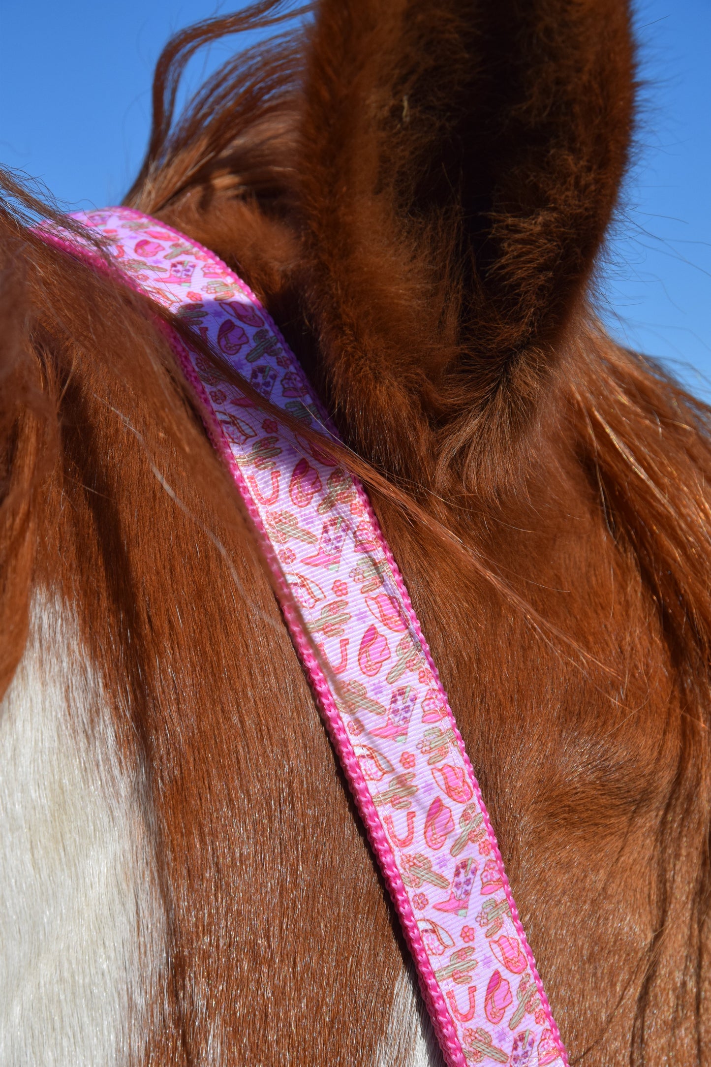 Happy Halsters x FMH - Pink Cowgirl Exclusive halster div. kleuren