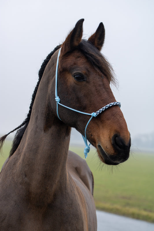 Touwhalster met gevlochten neusband babyblauw, wit en zwart