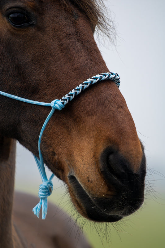 Touwhalster met gevlochten neusband babyblauw, wit en zwart