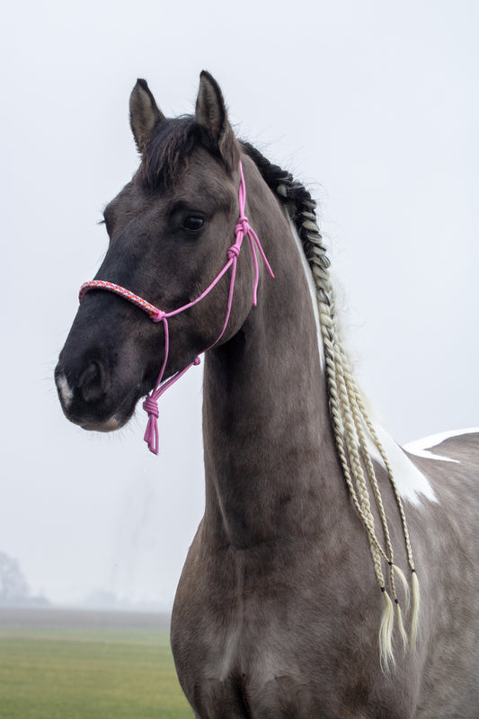 Touwhalster met gevlochten neusband babyroze, babyblauw en oranje