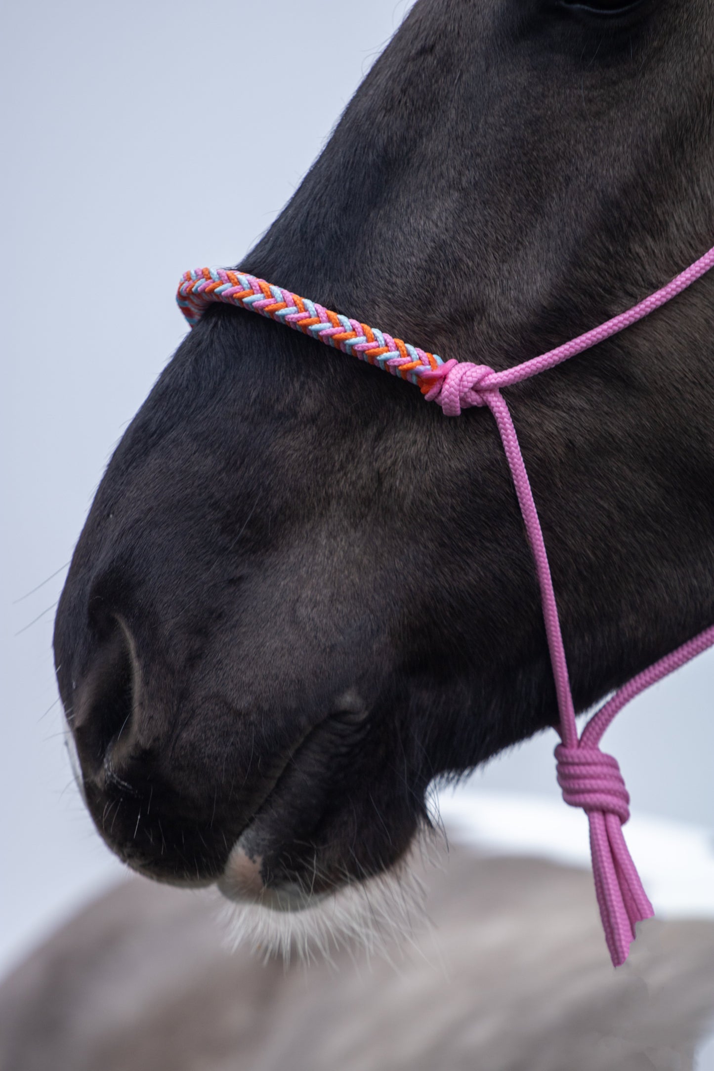 Touwhalster met gevlochten neusband babyroze, babyblauw en oranje