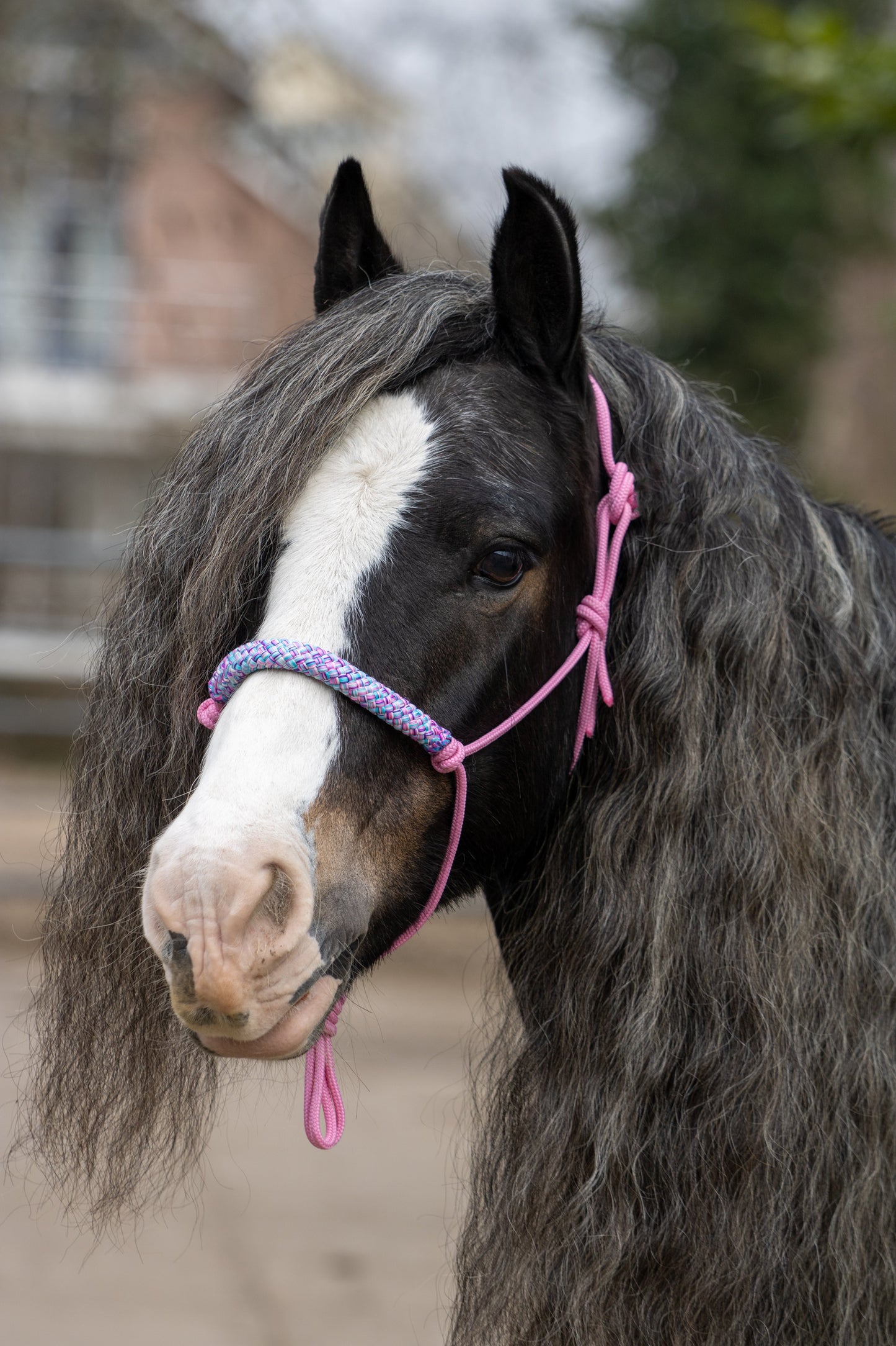 Touwhalster babyroze met rozemix