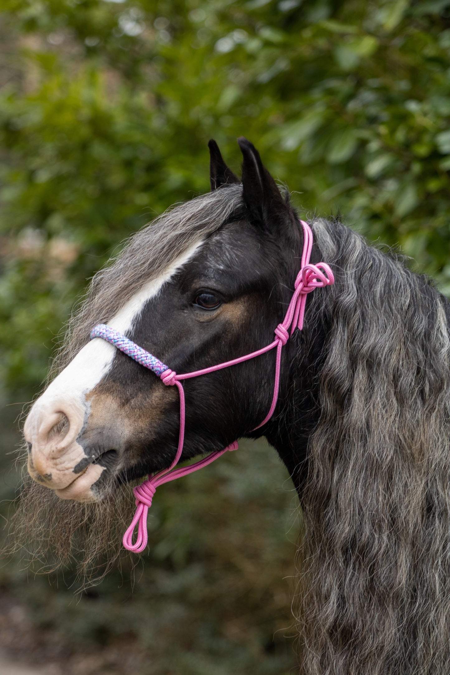 Touwhalster babyroze met rozemix
