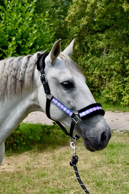 Happy Halsters x FMH - Love is Love Exclusive halster (bont) div. kleuren