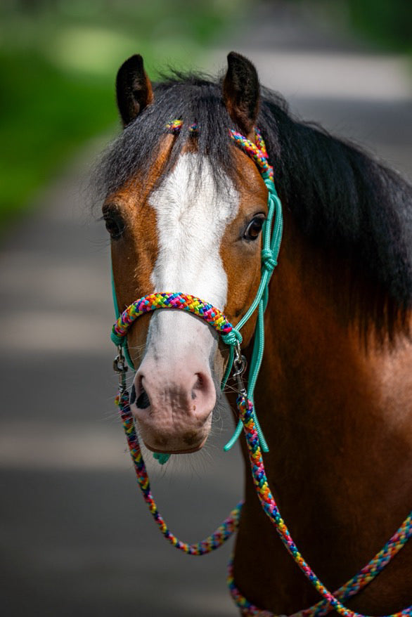 Het Paardenatelier - Touwhalster set rijhalster + teugels ‘Rainbow’ mint