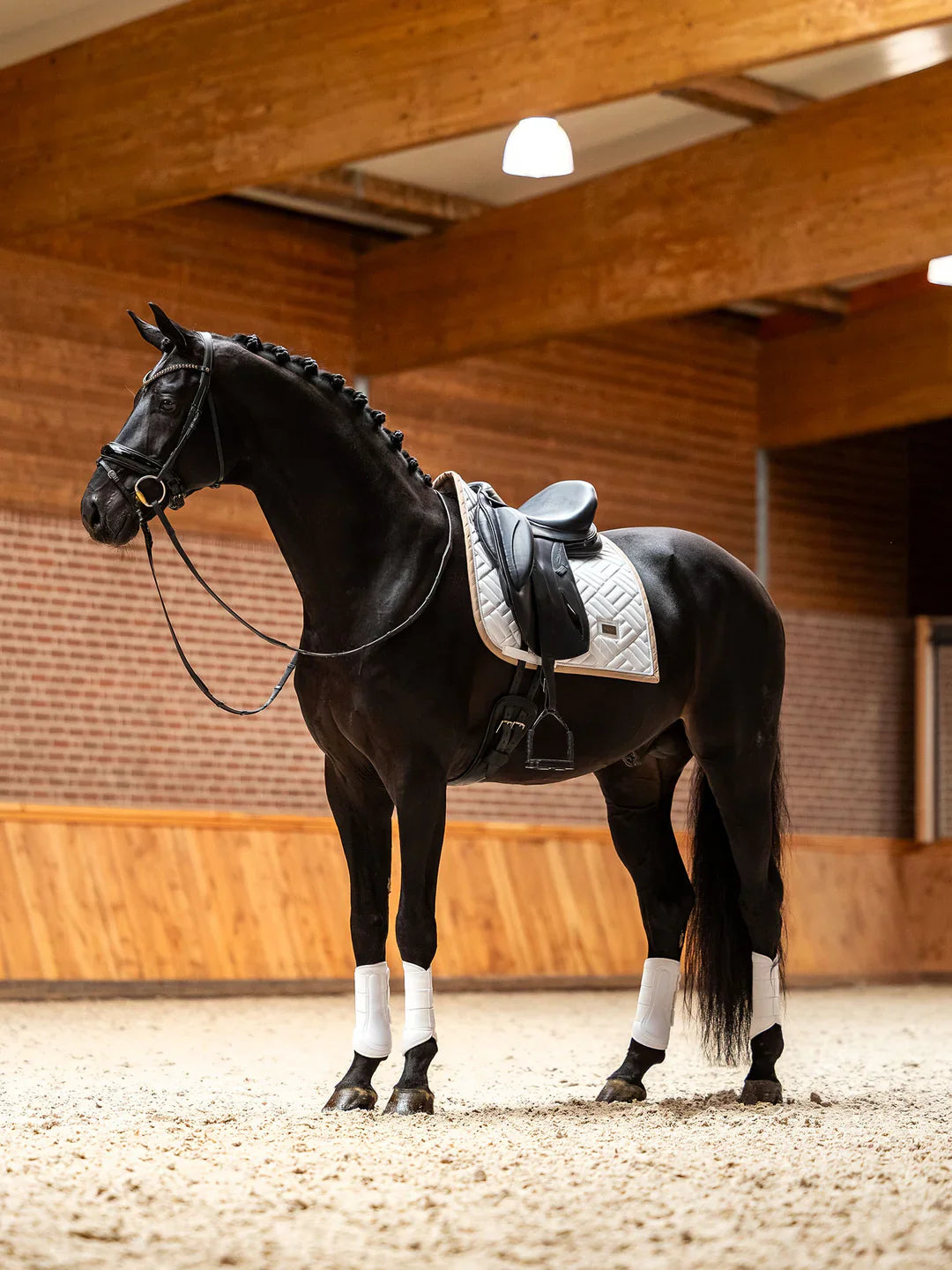 Equestrian Stockholm - SS26 Sand White - Dressage Saddle Pad Modern dressuurzadeldek