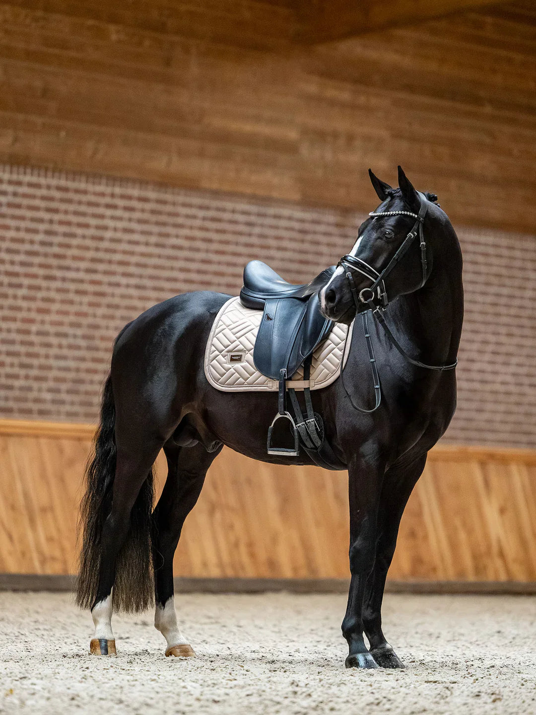 Equestrian Stockholm - SS26 Sand - Dressage Saddle Pad Modern dressuurzadeldek