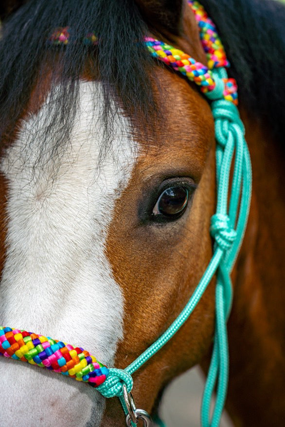 Het Paardenatelier - Touwhalster set rijhalster + teugels ‘Rainbow’ mint