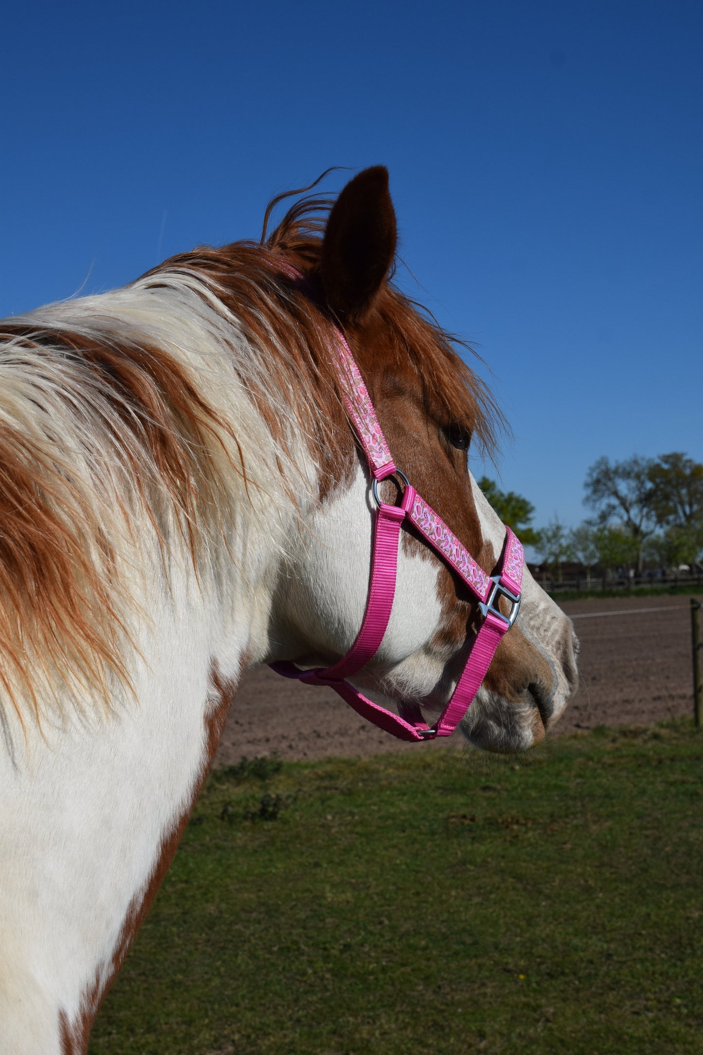Happy Halsters x FMH - Pink Cowgirl Exclusive halster div. kleuren