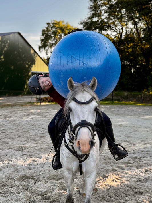 Horsemen's Pride - Speelbal Jolly Mega Ball blauw 30"/ 76cm