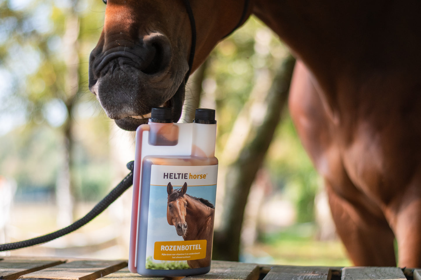 HELTIE Horse | Rozenbottel
