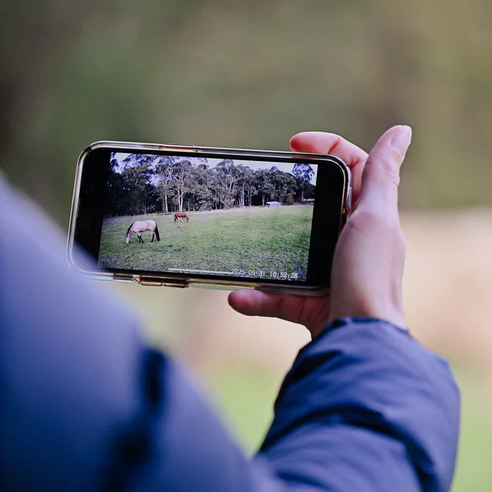 Equine Eye - Stal en weidecamera Vision (4G camera)