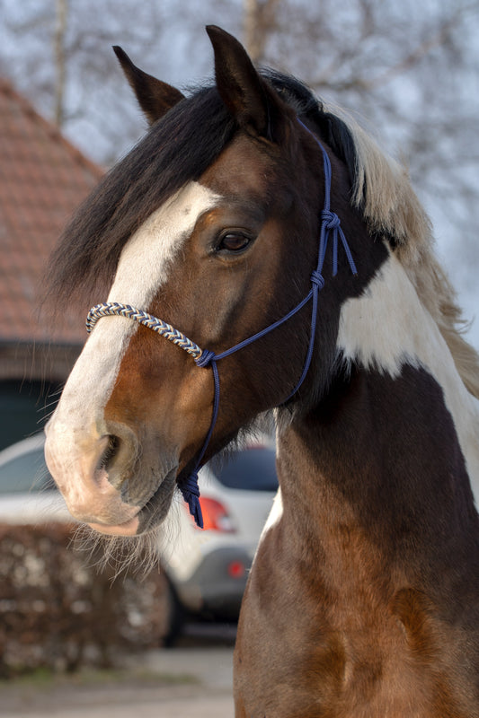 Touwhalster gevlochten neusband donkerblauw, beige en babyblauw
