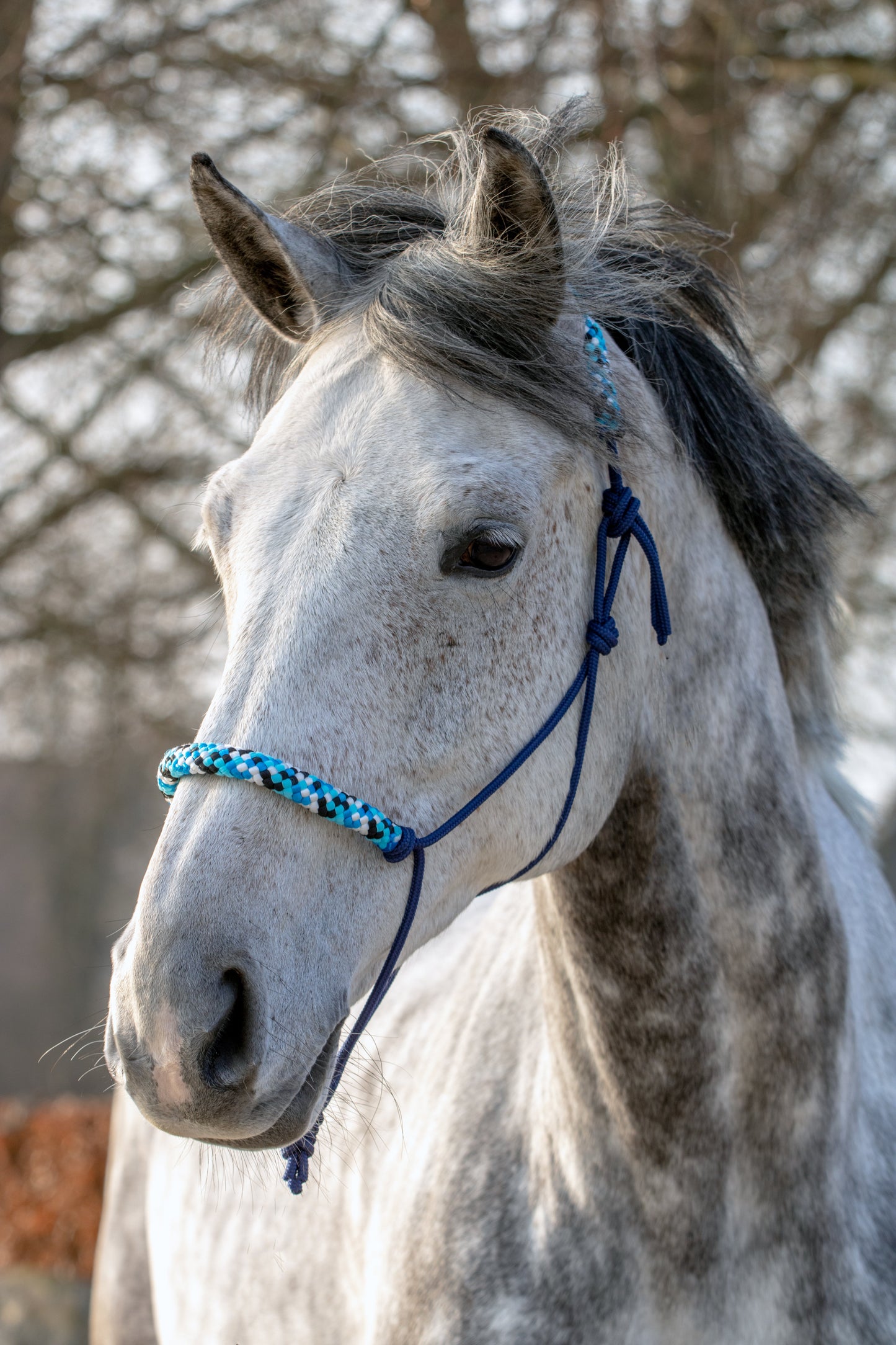 Touwhalster donkerblauw met zeestorm