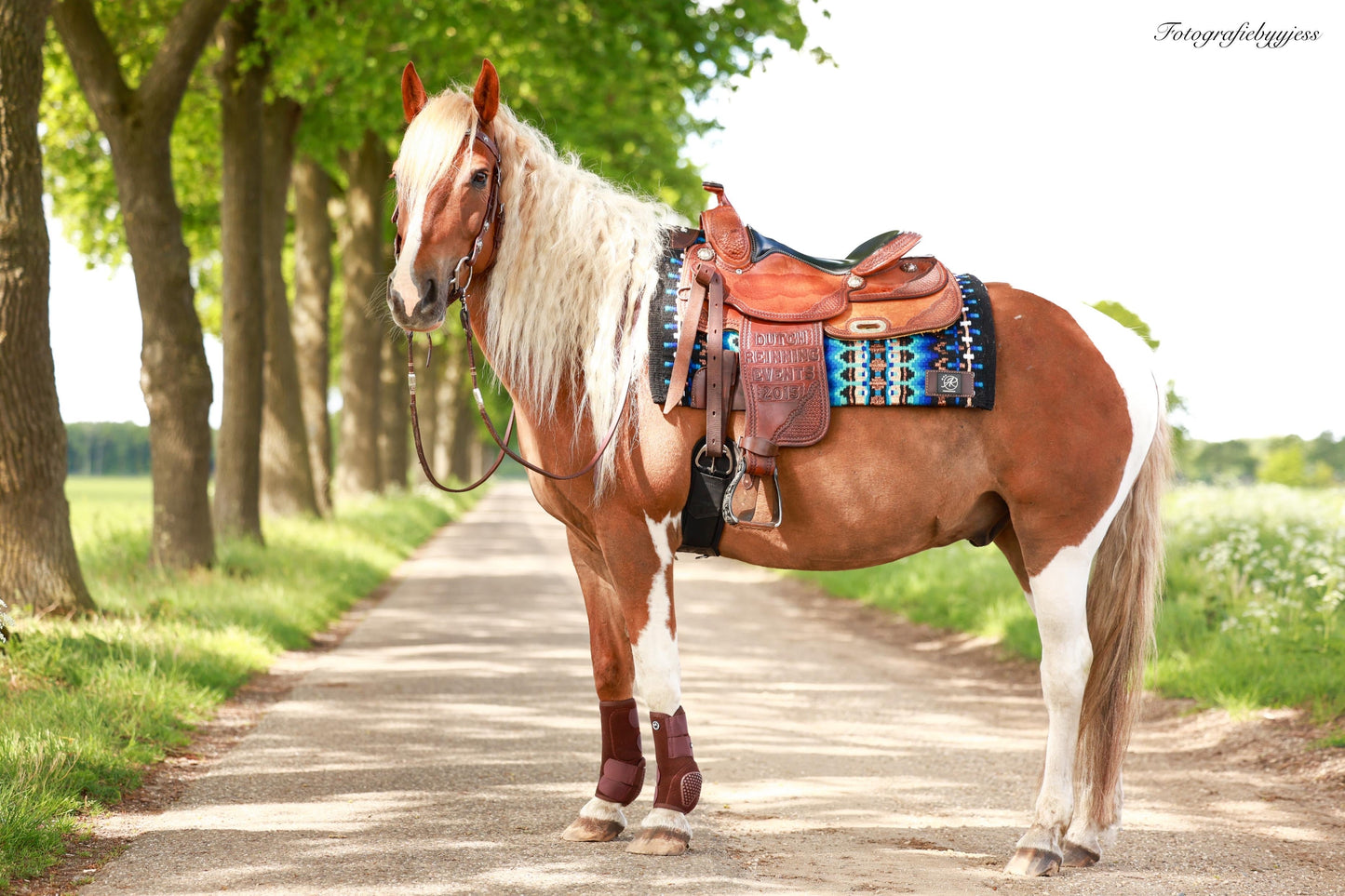 FMH - NeoPro the Elements - Neoprene beenbeschermers boots voor paarden (div. kleuren)