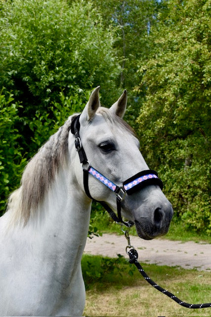 Happy Halsters x FMH - Love is Love Exclusive halster (bont) div. kleuren