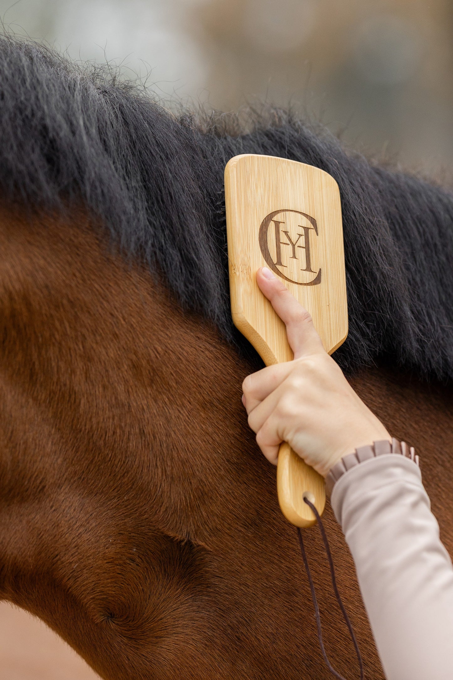 CYH Pure Bamboo Mane & Tail Brush