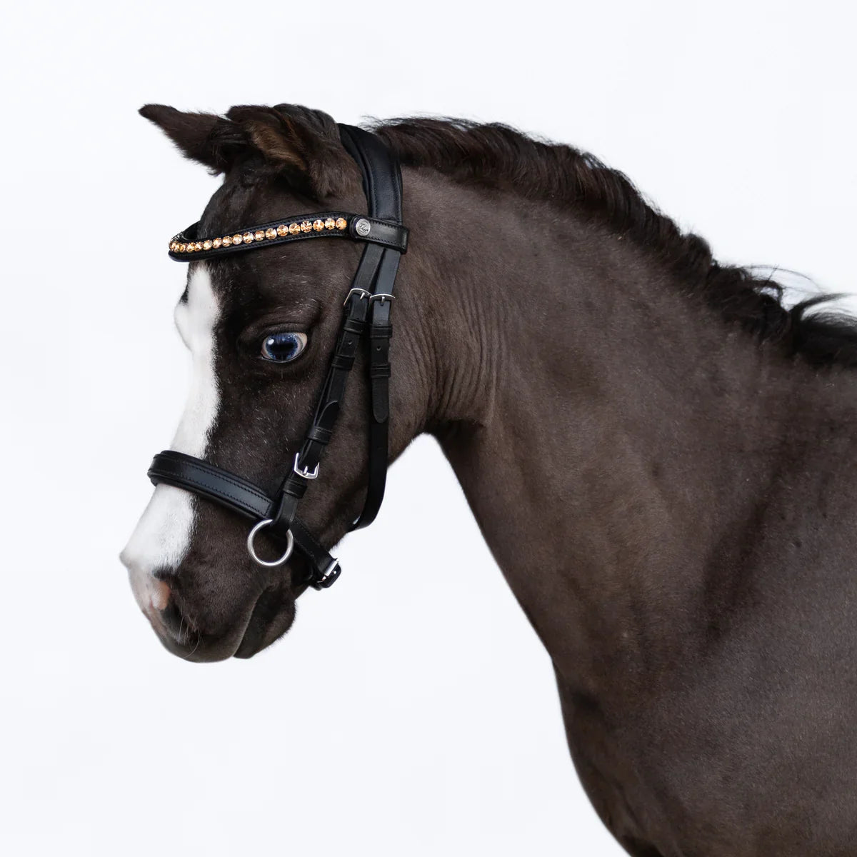 Lumi Pony - Iddy Biddy bitloos hoofdstel
