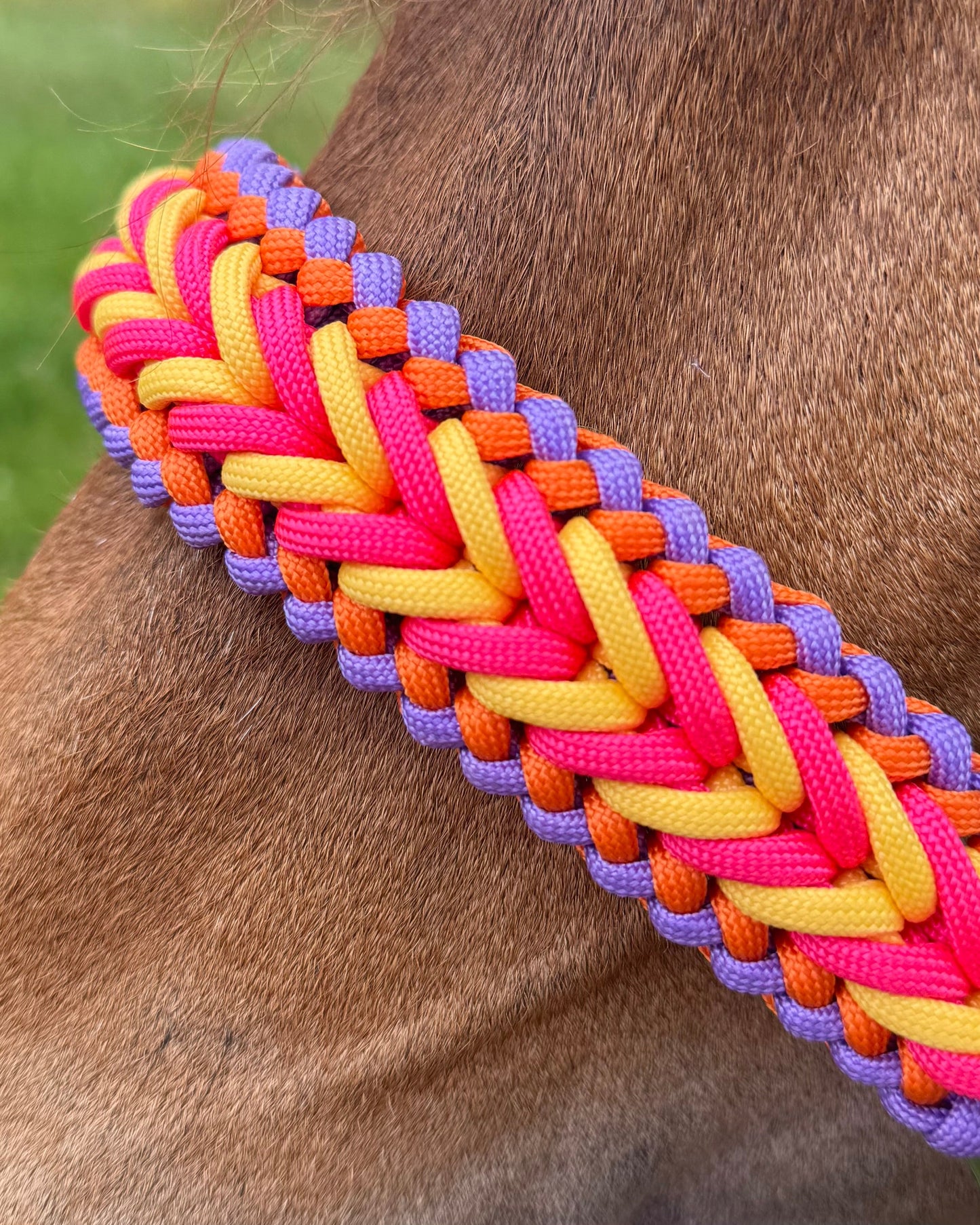 Handgemaakte paardenhalsters - Geknoopt halster ‘Funky Town’ fuchsia/geel/oranje/paars