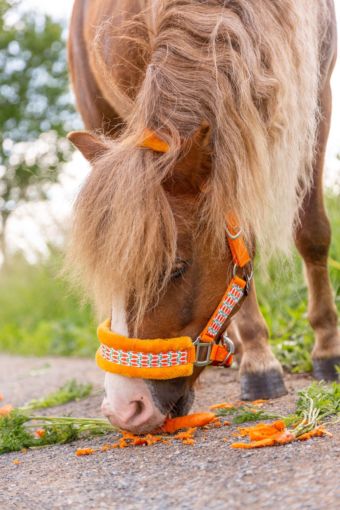 Happy Halsters - Oranje wortel halster (bont)