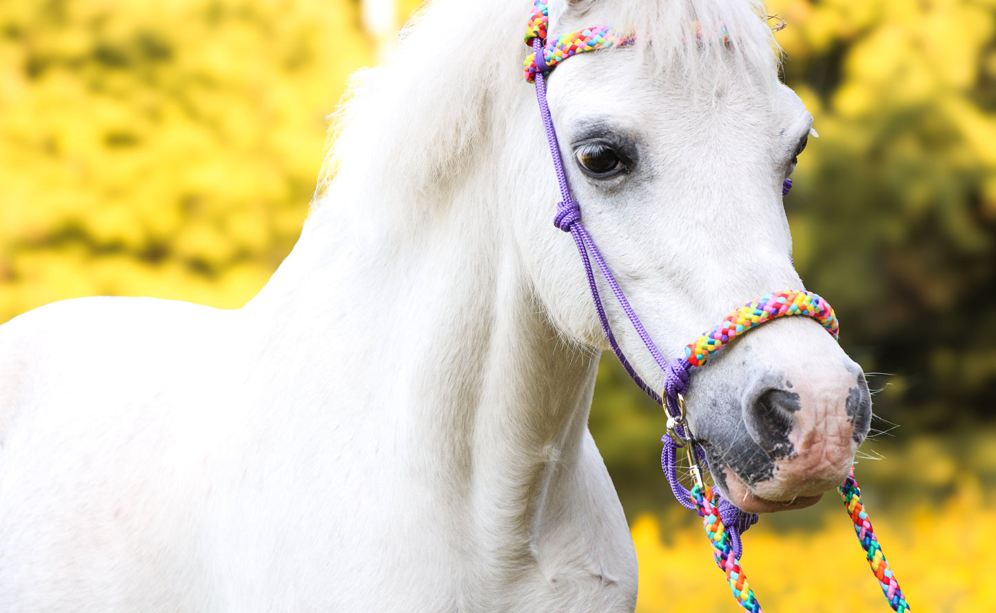 Het Paardenatelier - Touwhalster set rijhalster + teugels ‘Rainbow’ paars