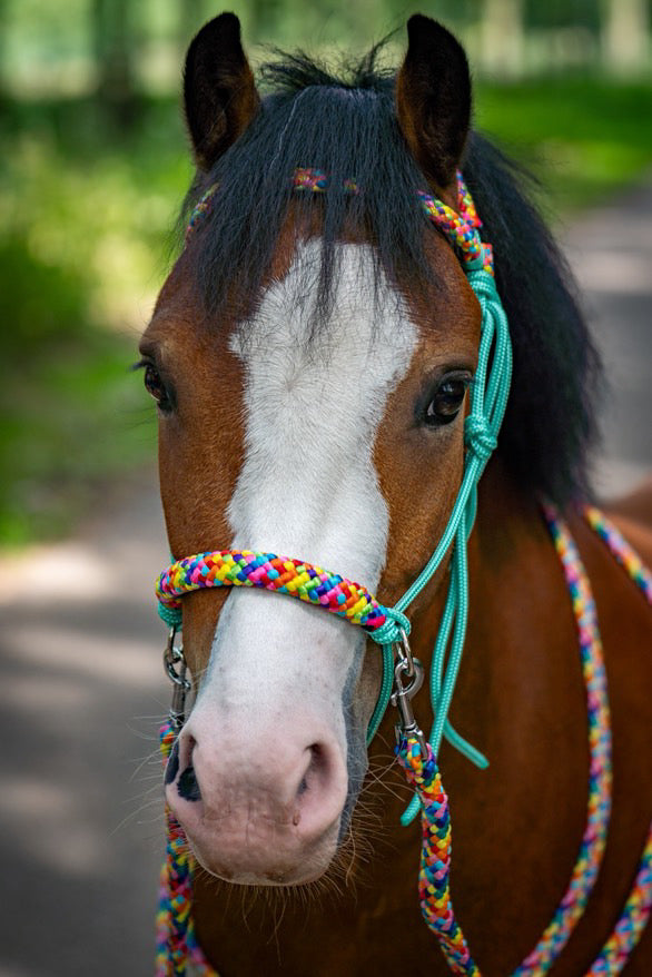 Het Paardenatelier - Touwhalster set rijhalster + teugels ‘Rainbow’ mint